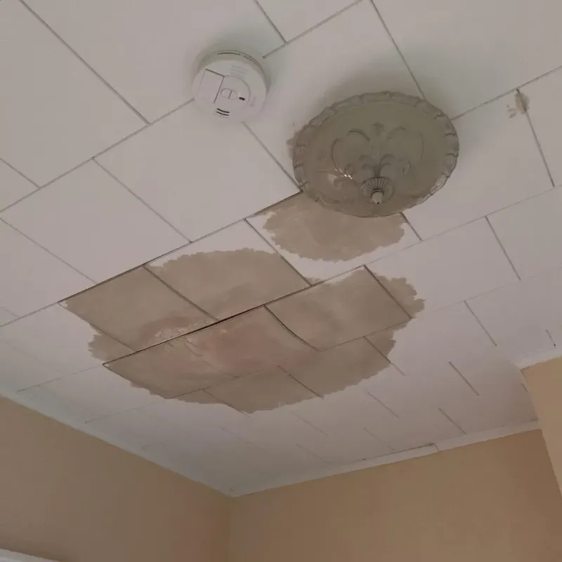 Ceiling Water Damage Repair in Callaway, FL